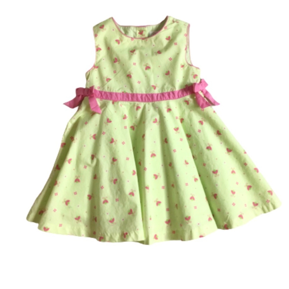 Chelsea’s Corner Lady Bug Print Dress Green and Pink 24M
